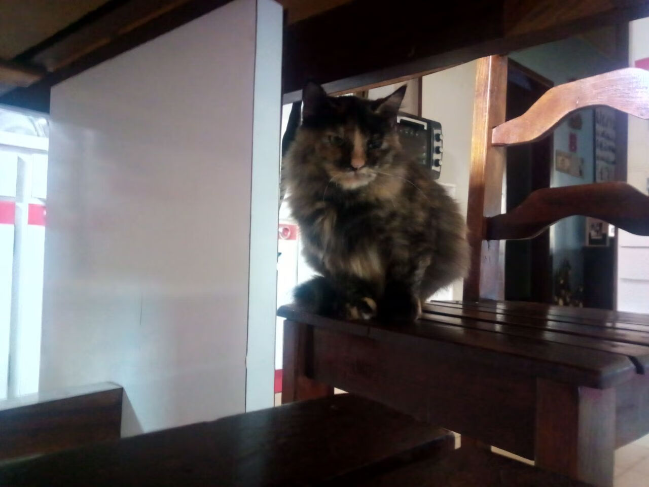 pg电子游戏-从杜兰特到科比，英格拉姆的一节神迹与雷霆的进攻哲学