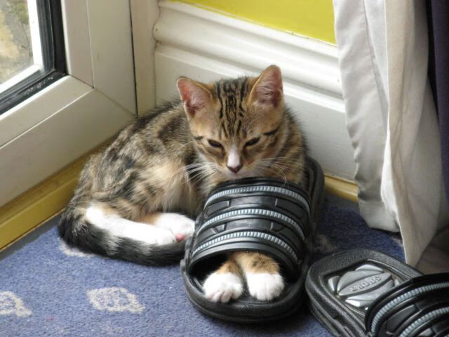 从杜兰特到科比，英格拉姆的一节神迹与雷霆的进攻哲学