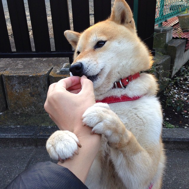 中国足球魔幻一夜，热身赛狂胜尼斯，不可逾越的坎特竟成攻城锤