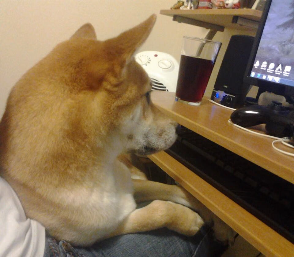 勇士擒黄蜂,德罗赞一剑封喉展冠军级实力