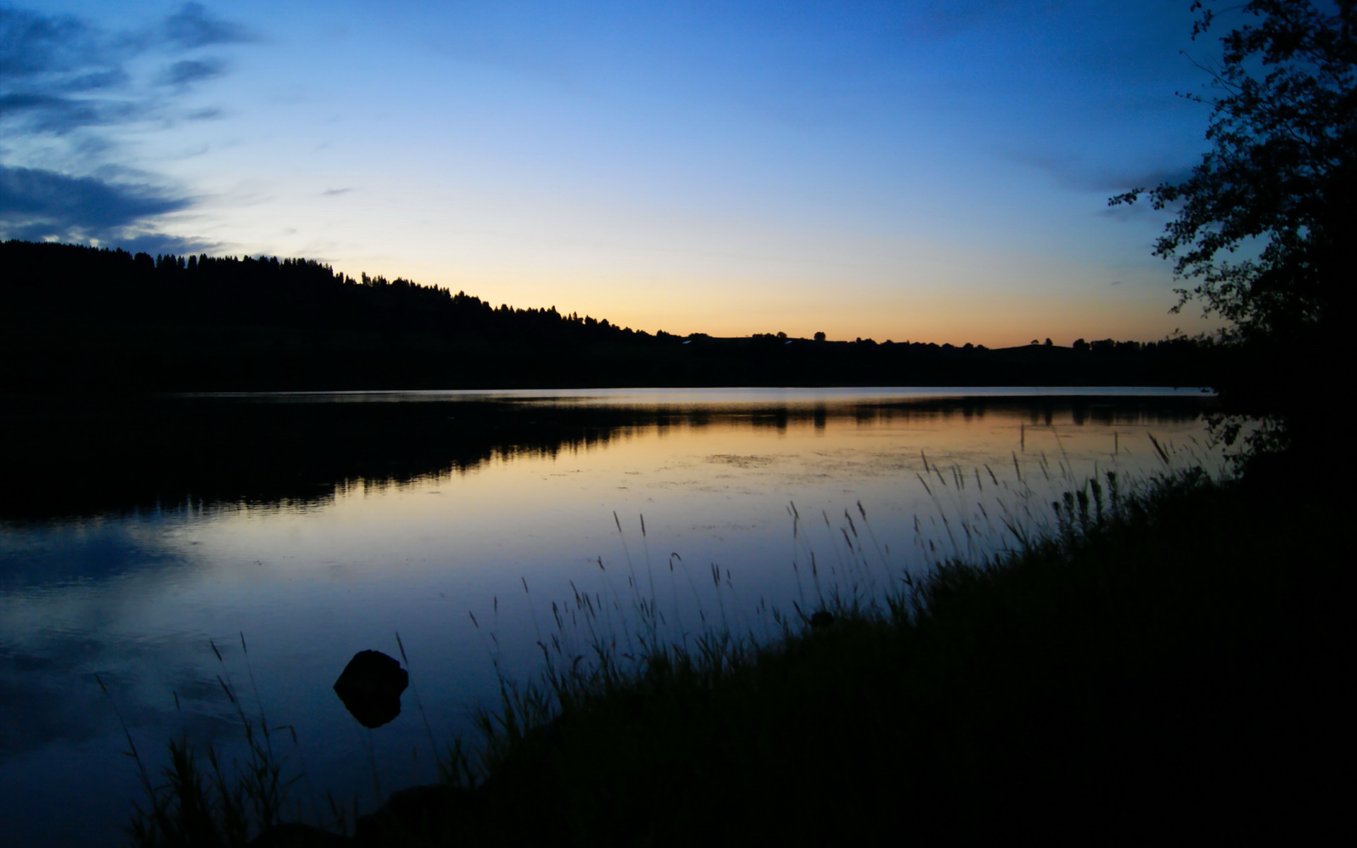 范弗利特爆发!杭州湾夜空下,浙江队最后时刻的惊天逆转