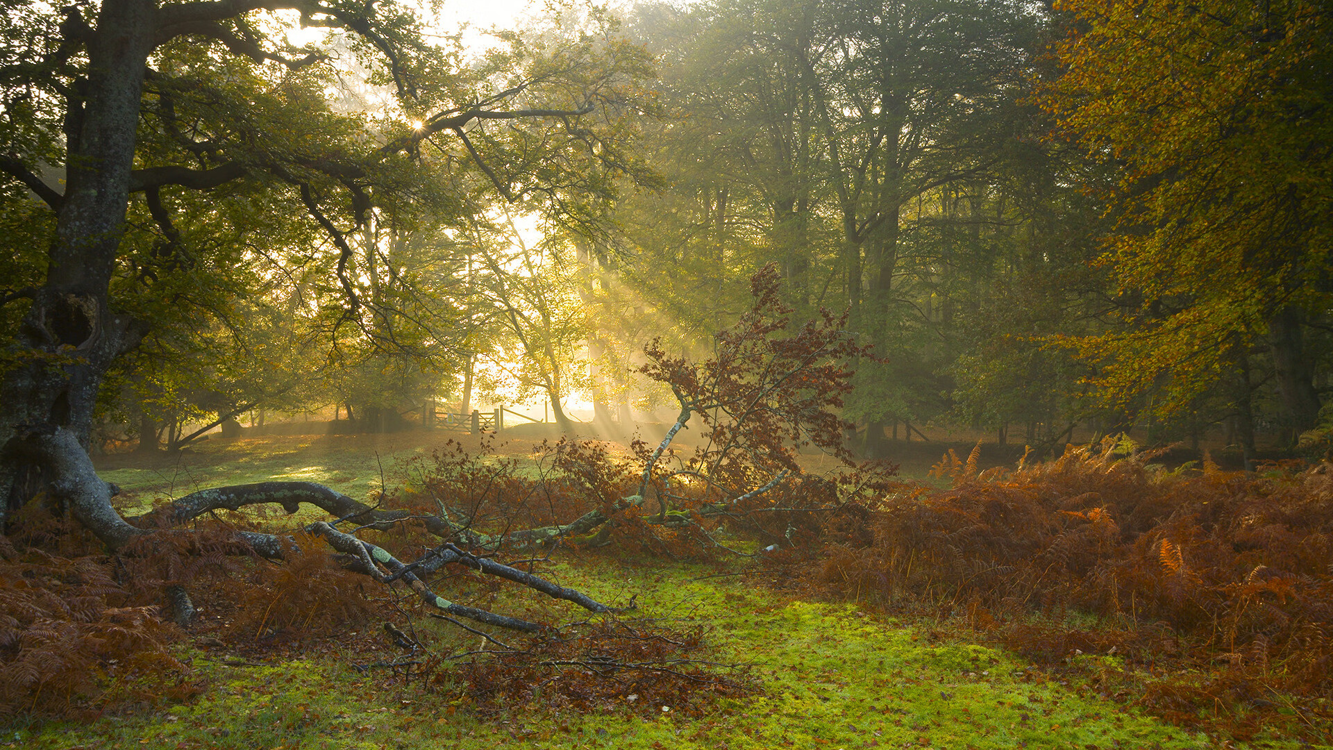 pg电子下载-终极对决，赛道争霸与球场鏖战的决战时刻