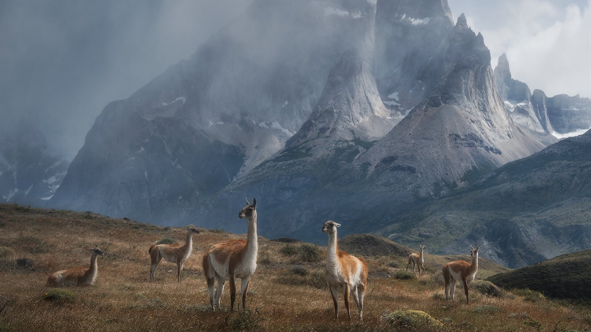 三秒逆转十年，雷霆那记让吉林队心碎的绝杀