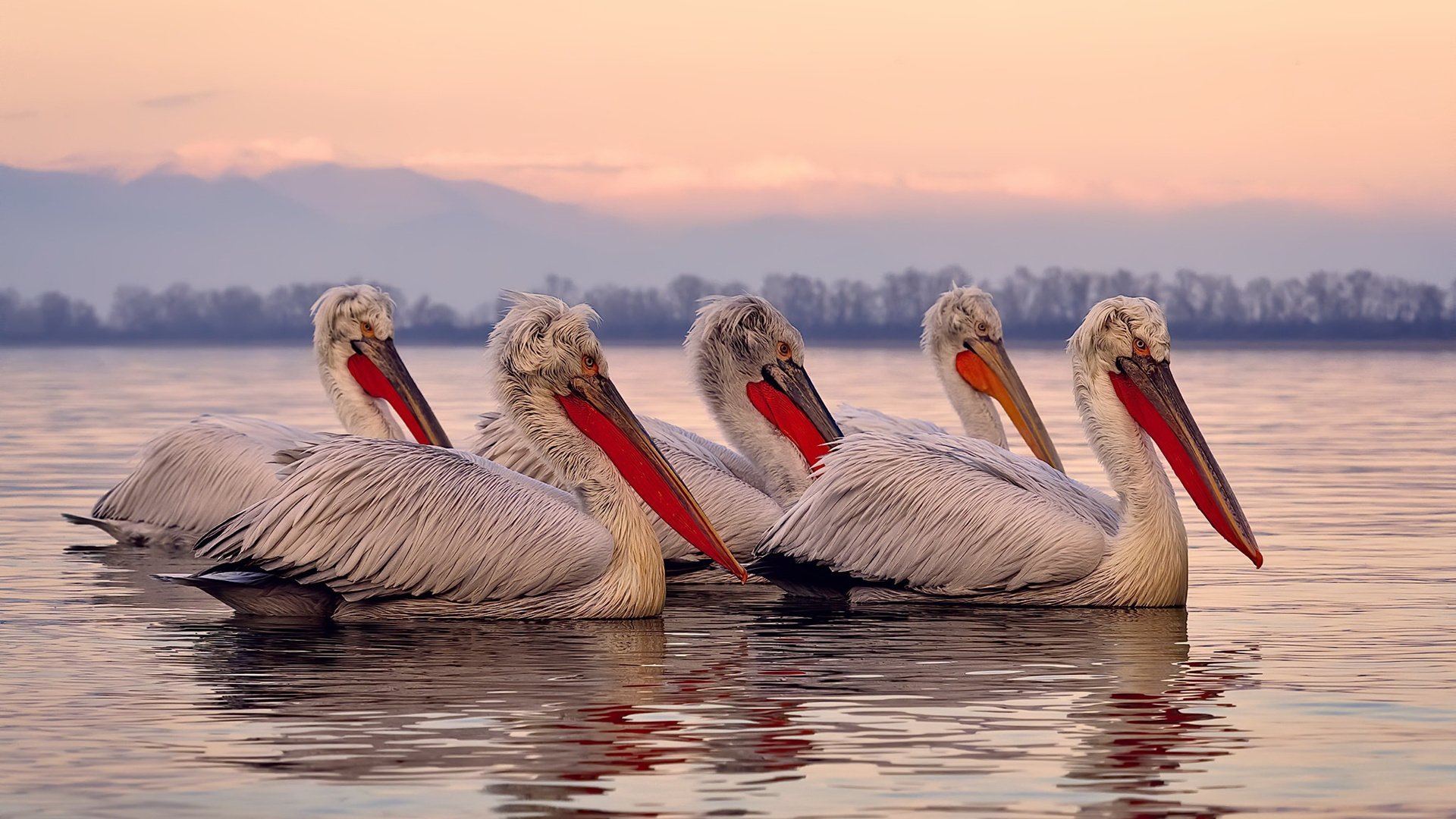 利物浦火力全开压制挪威，范戴克关键先生定乾坤