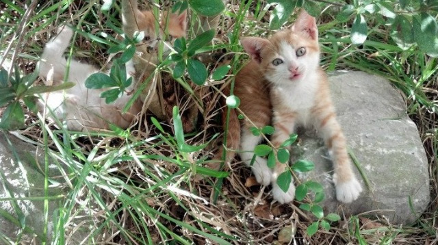 逆转的艺术，从赛场到人生的翻盘智慧
