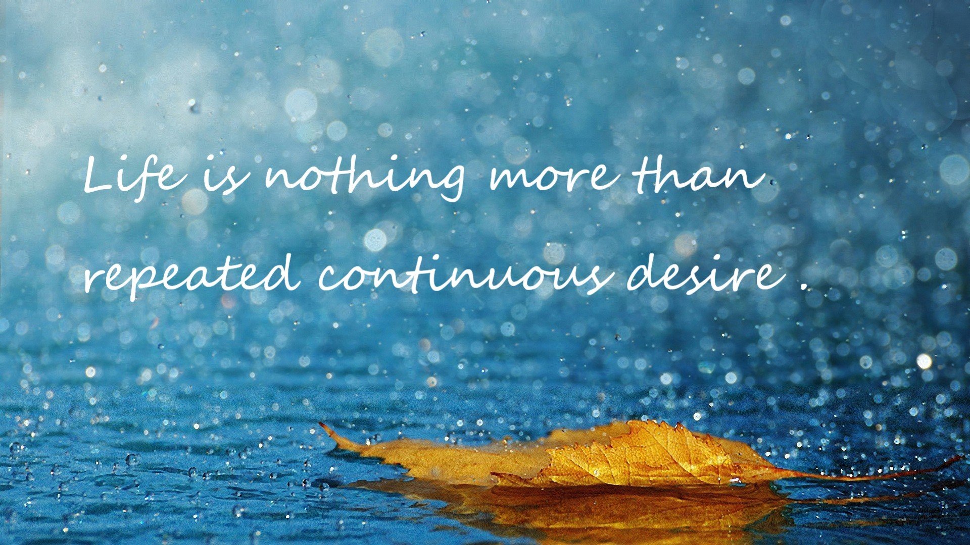 塔图姆爆发助绿军告捷，湖人硬仗取胜76人