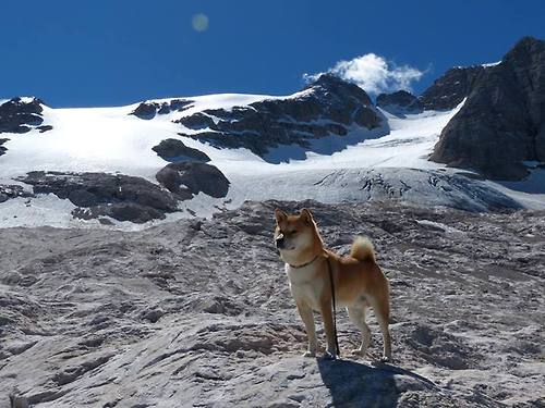 pg电子游戏-意甲焦点战之夜，孙兴慜关键节点连续得分改写战局