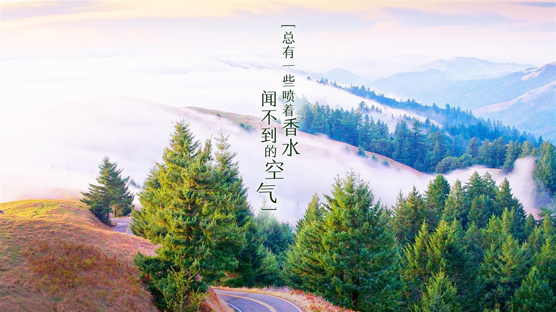 pg电子试玩网-橙色风暴席卷非洲雄狮，荷兰3-1力克喀麦隆，莫德里奇中场大师级表现主宰H组焦点战