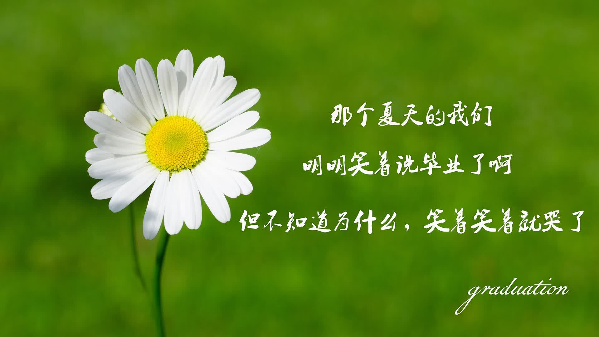 中亚铁骑难阻北欧锋霸,哈兰德爆发引领挪威逆转乌兹别克斯坦